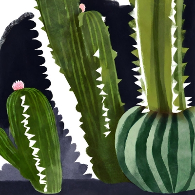 Der Einsatz von San Pedro Kaktus in modernen Naturheilverfahren