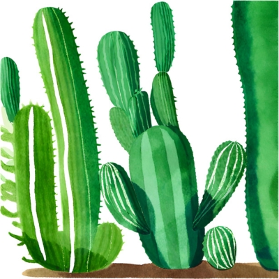 San Pedro Kaktus: Verbindung zur ganzheitlichen Gesundheit