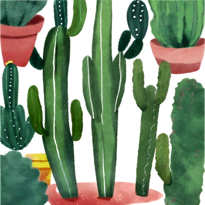 Pflanzliche Rezepte mit San Pedro Kaktus in der Naturheilkunde