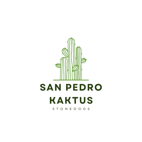 img/sanpedrokaktus-logo.png